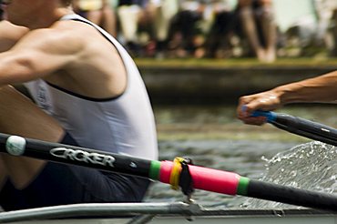 Rowing at the Henley Royal Regatta, Henley on Thames, England, United Kingdom, Europe