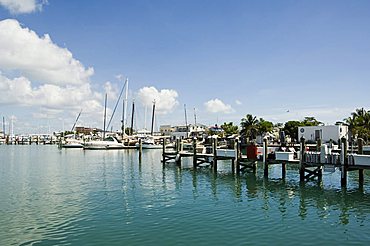 Marina, Key West, Florida, United States of America, North America