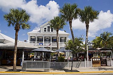 Duval Street, Key West, Florida, United States of America, North America