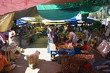 Market day at Zaachila, Oaxaca, Mexico, North America