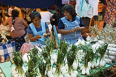 Market day at Zaachila, Oaxaca, Mexico, North America