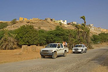 Oasis, Boa Vista, Cape Verde Islands, Africa