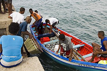 At the fish market, Mindelo, Sao Vicente, Cape Verde Islands, Africa