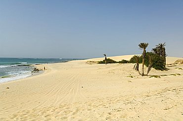 Praia de Chaves (Chaves Beach), Boa Vista, Cape Verde Islands, Africa