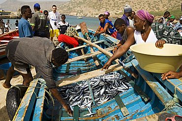 Fresh fish just caught, Tarrafal, Santiago, Cape Verde Islands, Africa