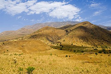 Countryside on way to the volcano, Fogo (Fire), Cape Verde Islands, Africa