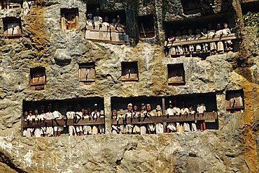 Lemo cliff tombs, Toraja area, Sulawesi, Indonesia, Southeast Asia, Asia