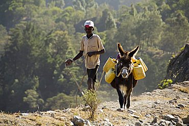 Donkey carrying water, Santo Antao, Cape Verde Islands, Africa