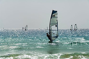 Wind surfing at Santa Maria on the island of Sal (Salt), Cape Verde Islands, Atlantic Ocean, Africa