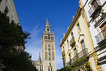 La Giralda, Santa Cruz district, Seville, Andalusia, Spain, Europe