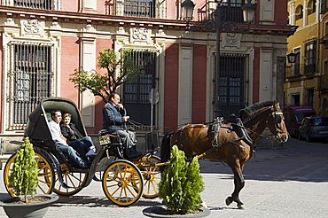 Horse and carriages in Santa Cruz district, Seville, Andalusia, Spain, Europe