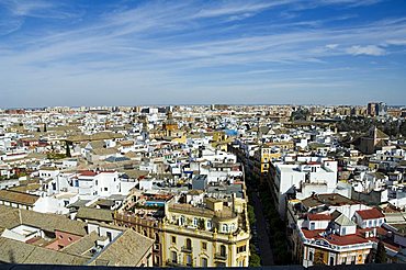 View from La Giralda tower, Seville, Andalusia, Spain, Europe