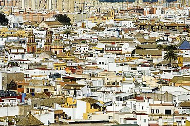 View from La Giralda tower, Seville, Andalusia, Spain, Europe