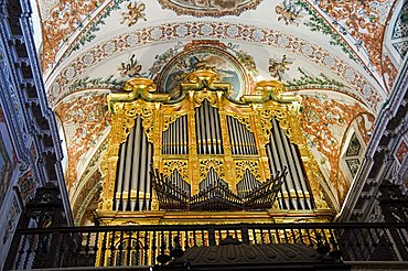 Baroque church, Hospital de Venerables Sacerdotes, Santa Cruz district, Seville, Andalusia, Spain, Europe