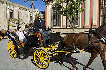 Horse and carriages in Santa Cruz district, Seville, Andalusia, Spain, Europe