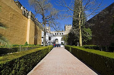 Patio del Leon, Real Alcazar, Santa Cruz district, Seville, Andalusia (Andalucia), Spain, Europe