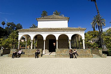 The gardens of the Real Alcazar, Santa Cruz district, Seville, Andalusia (Andalucia), Spain, Europe