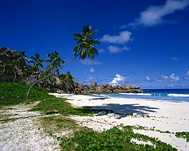 Tropical coastline with eroded rock formation and palm trees, La Digue, Seychelles, Indian Ocean, Africa