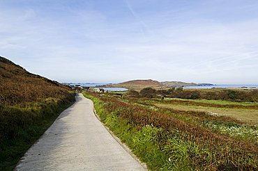 Bryer (Bryher), Isles of Scilly, off Cornwall, United Kingdom, Europe