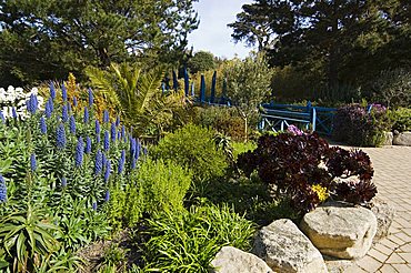 The Abbey Gardens, Tresco, Isles of Scilly, off Cornwall, United Kingdom, Europe