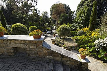 The Abbey Gardens, Tresco, Isles of Scilly, off Cornwall, United Kingdom, Europe