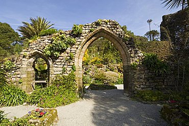 The Abbey Gardens, Tresco, Isles of Scilly, off Cornwall, United Kingdom, Europe