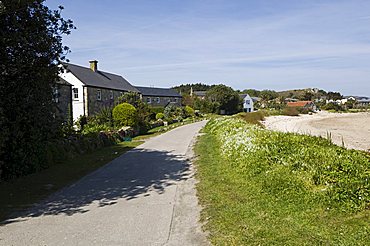 Tresco, Isles of Scilly, off Cornwall, United Kingdom, Europe