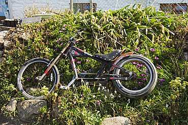 Bryer (Bryher), Isles of Scilly, off Cornwall, United Kingdom, Europe