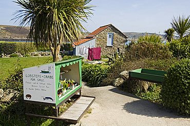 Bryer (Bryher), Isles of Scilly, off Cornwall, United Kingdom, Europe