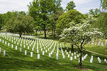 Arlington National Cemetery, Arlington, Virginia, United States of America, North America