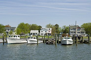 Dogwood Harbour, Tilghman Island, Talbot County, Chesapeake Bay area, Maryland, United States of America, North America