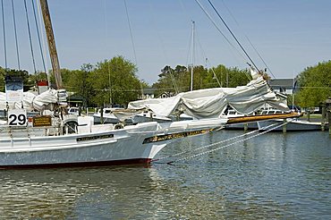 Rebecca T. Ruark, a famous historic Skipjack, the oldest in the U.S.A., Dogwood Harbour, Tilghman Island, Talbot County, Chesapeake Bay area, Maryland, United States of America, North America