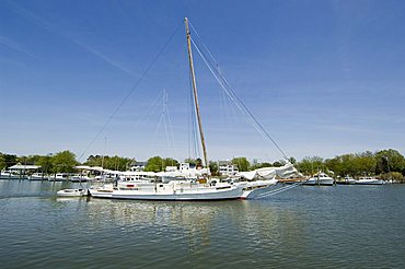 Rebecca T. Ruark, a famous historic Skipjack, the oldest in the U.S.A., Dogwood Harbour, Tilghman Island, Talbot County, Chesapeake Bay area, Maryland, United States of America, North America