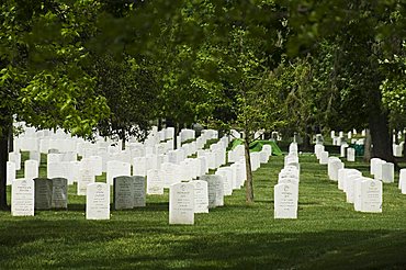 Arlington National Cemetery, Arlington, Virginia, United States of America, North America