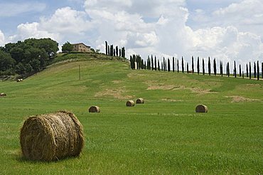 Typical view of the Tuscan landscape, Le Crete (The Crete), Tuscany, Italy, Europe