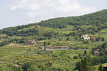 Typical Tuscan view around the area of Lamole, near Greve, Chianti, Tuscany, Italy, Europe