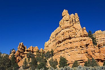 Red Canyon in Dixie National Forest, Utah, United States of America, North America