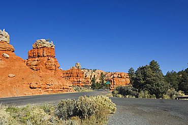 Red Canyon in Dixie National Forest, Utah, United States of America, North America