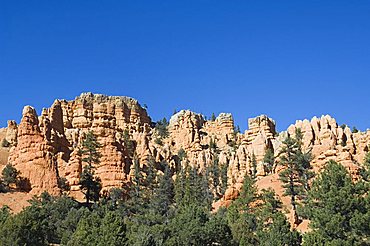 Red Canyon in Dixie National Forest, Utah, United States of America, North America