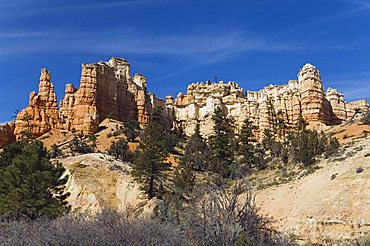 Cedar Breaks National Monument, Utah, United States of America, North America