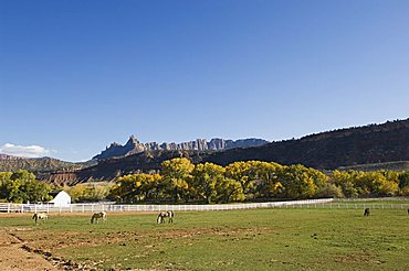 Landscape near Zion National Park, Utah, United States of America, North America