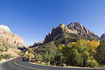 Zion National Park, Utah, United States of America, North America