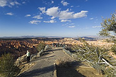 Bryce Canyon National Park, Utah, United States of America, North America