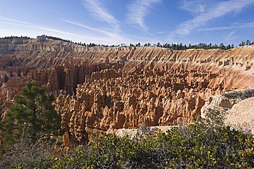 Bryce Canyon National Park, Utah, United States of America, North America