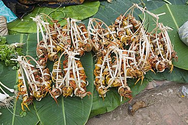 Morning food market, Luang Prabang, Laos, Indochina, Southeast Asia, Asia