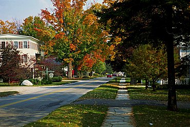 Suburban street scene in the autumn (fall), Manchester, Vermont, New England, United States of America, North America