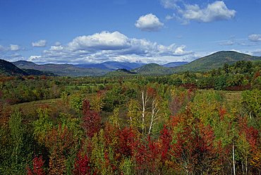 Landscape of woodland, trees in autumn (fall) colours, with hills in the background, in New England, United States of America, North America