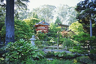 The Japanese Tea Garden, Golden Gate Park, San Francisco, California, USA, North America