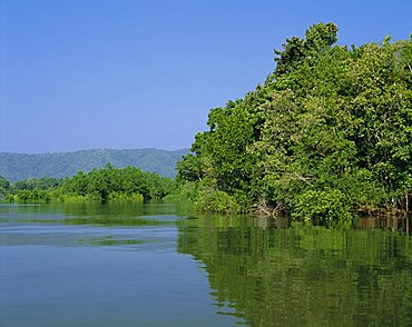 Daintree River, Cape Tribulation National Park, Queensland, Australia