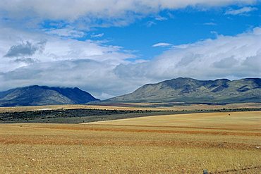 The Little Karoo, South Africa